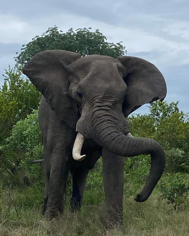 Overnight Stop Before Kruger National Park Пхалаборва Экстерьер фото